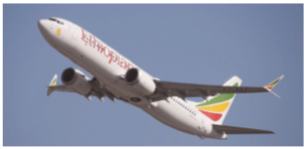 에티오피아 항공 ET302편(국제선) 이미지